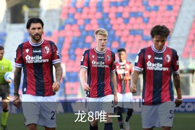 龙8唯一